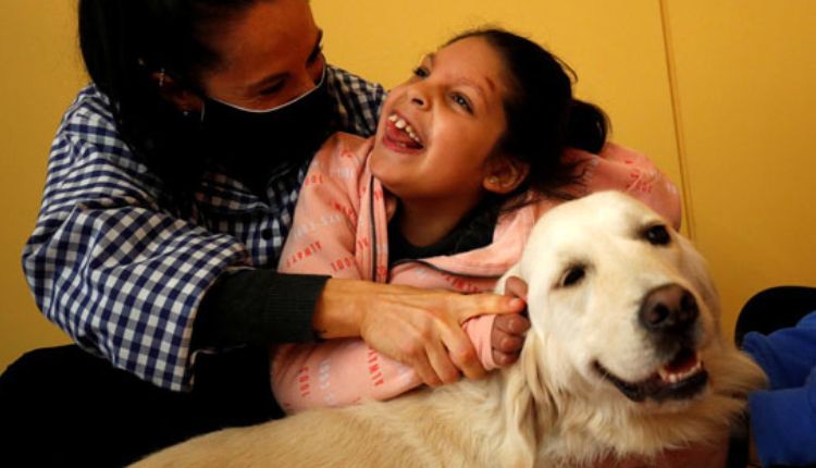 طفلة تداعب كلب أبيض بتشجيع من والدتها حيث أن دور الكلاب في تهدئة طفل التوحد كبير